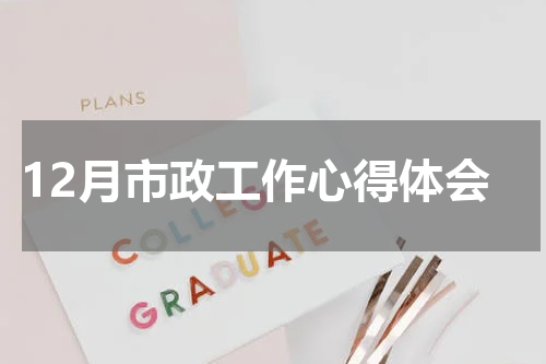 12月市政工作心得体会