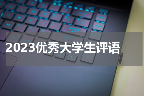 2023优秀大学生评语