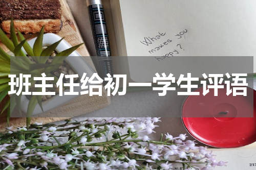 班主任给初一学生评语