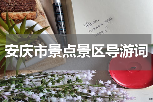 安庆市景点景区导游词