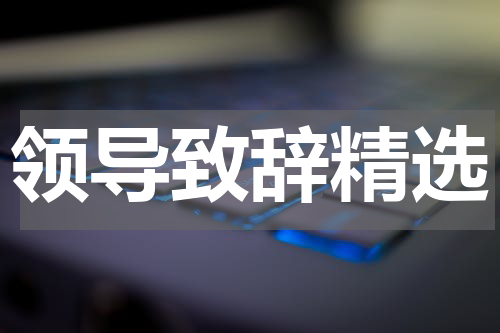 领导致辞精选