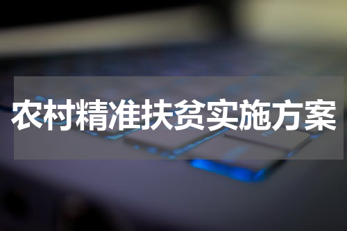 农村精准扶贫实施方案