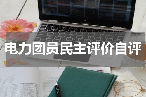 电力团员民主评价自评