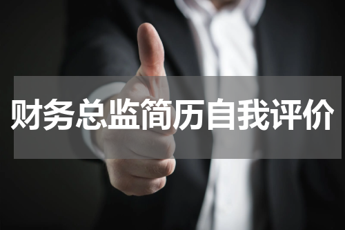 财务总监简历自我评价