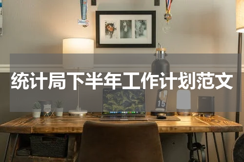 统计局下半年工作计划范文