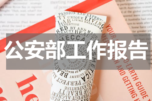 公安部工作报告