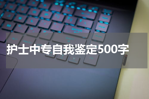 护士中专自我鉴定500字