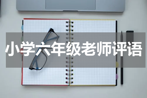 小学六年级老师评语