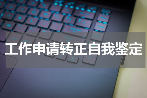 工作申请转正自我鉴定