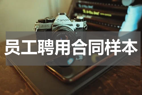 员工聘用合同样本