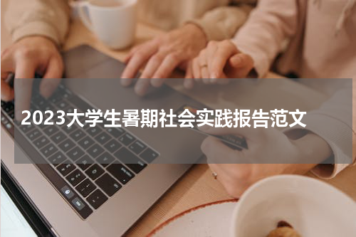 2023大学生暑期社会实践报告范文