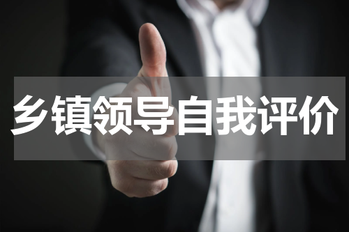 乡镇领导自我评价