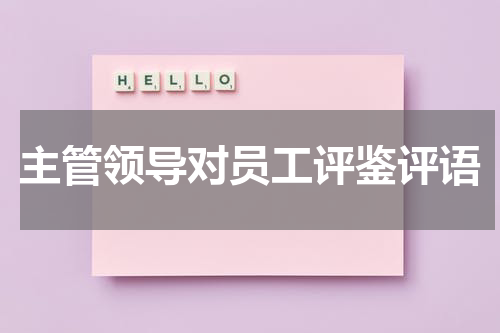 主管领导对员工评鉴评语