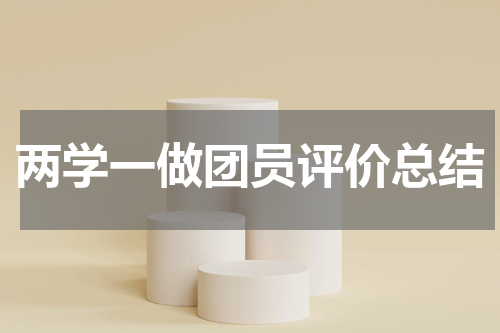 两学一做团员评价总结