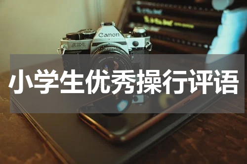 小学生优秀操行评语