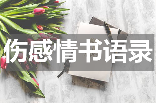 伤感情书语录
