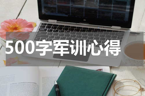 500字军训心得