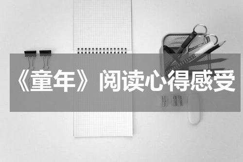 《童年》阅读心得感受