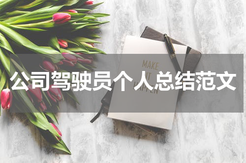 公司驾驶员个人总结范文