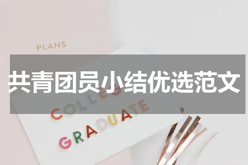 共青团员小结优选范文