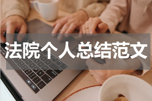 法院个人总结范文