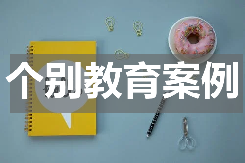 个别教育案例
