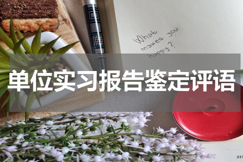 单位实习报告鉴定评语