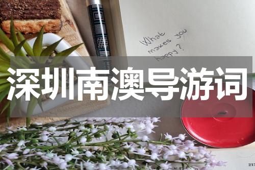 深圳南澳导游词