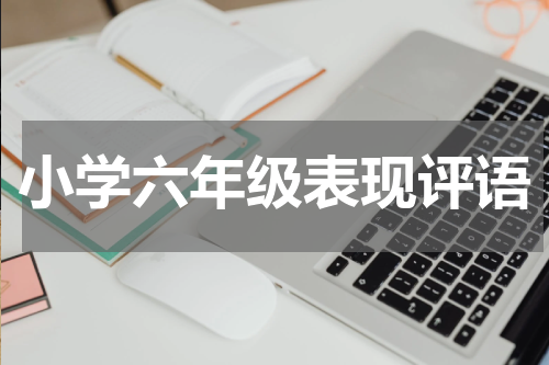小学六年级表现评语