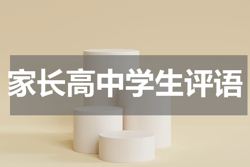 家长高中学生评语