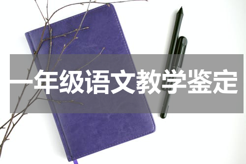一年级语文教学鉴定
