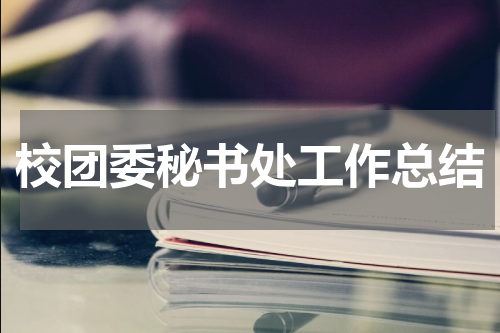 校团委秘书处工作总结