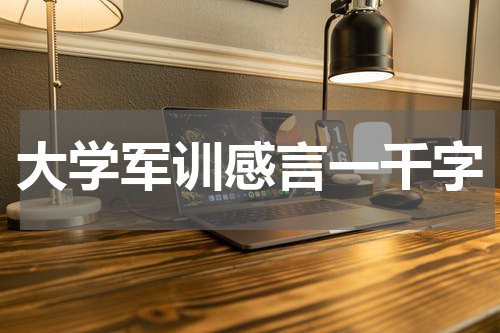 大学军训感言一千字