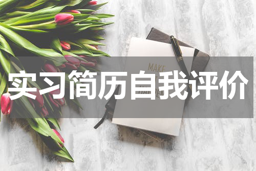 实习简历自我评价