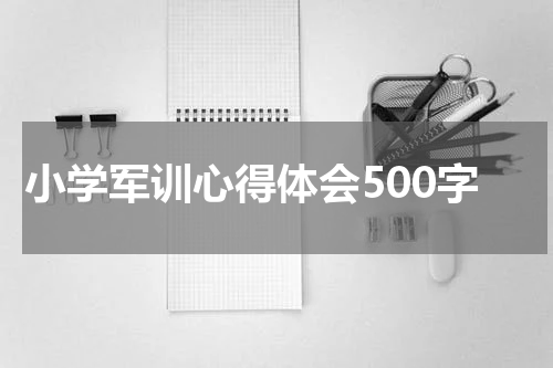 小学军训心得体会500字