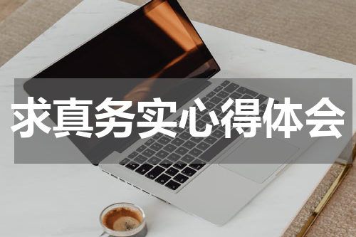 求真务实心得体会