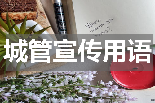 城管宣传用语