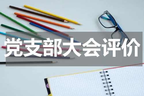 党支部大会评价