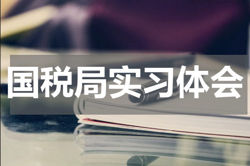 国税局实习体会