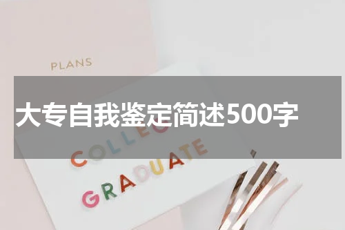 大专自我鉴定简述500字