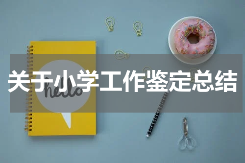 关于小学工作鉴定总结