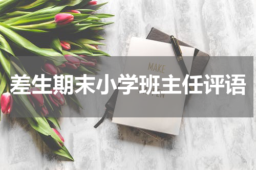差生期末小学班主任评语