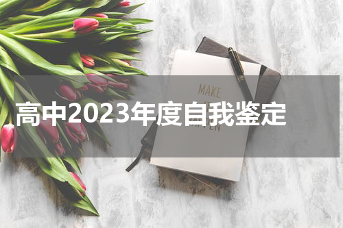 高中2023年度自我鉴定