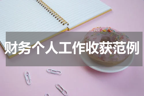 财务个人工作收获范例