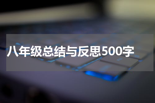 八年级总结与反思500字