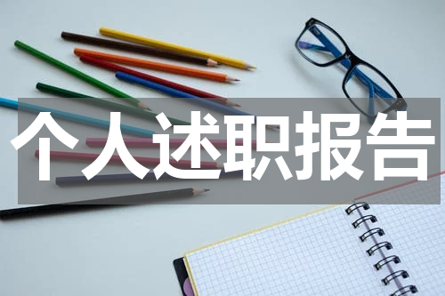 个人述职报告