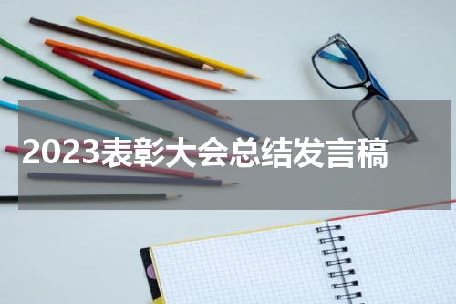 2023表彰大会总结发言稿