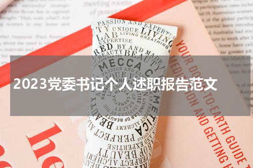 2023党委书记个人述职报告范文