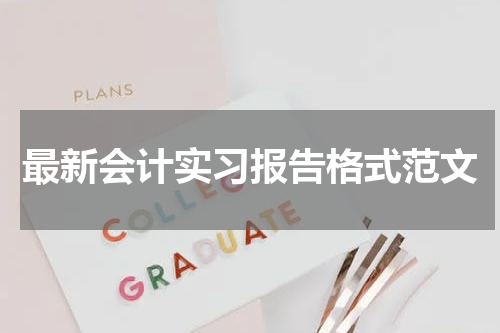 最新会计实习报告格式范文