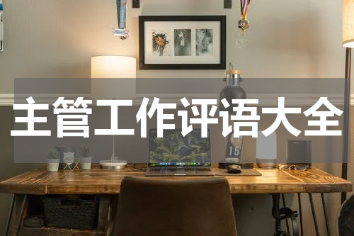 主管工作评语大全